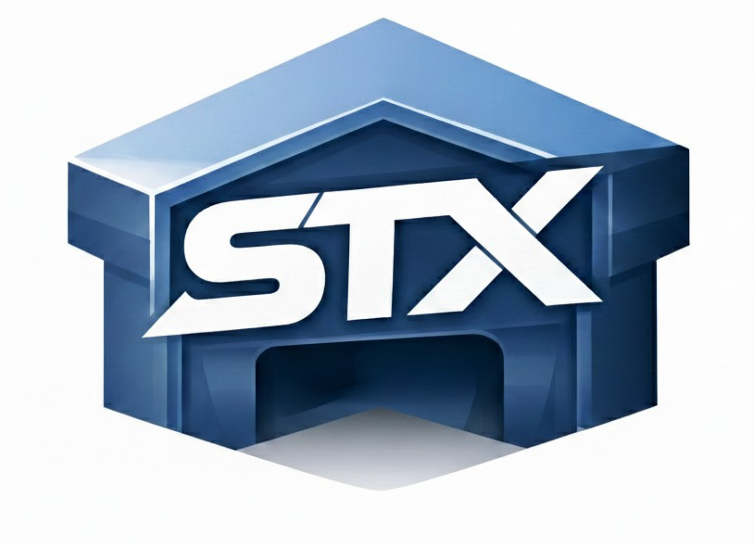 Logo of stonex